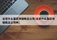 北京什么是区块链概念公司[北京什么是区块链概念公司啊]