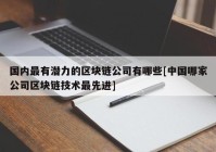 国内最有潜力的区块链公司有哪些[中国哪家公司区块链技术最先进]